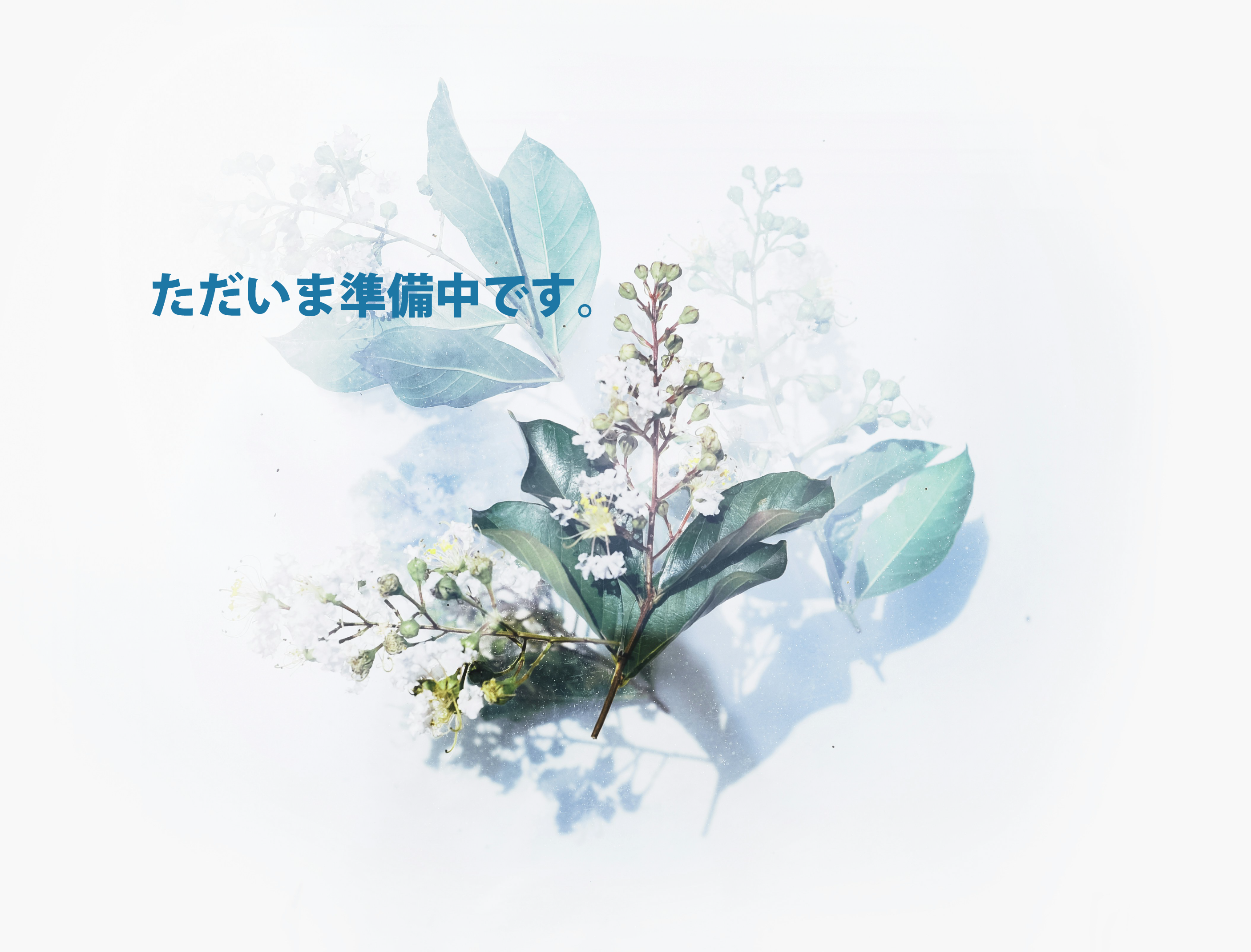 ただいま準備中です